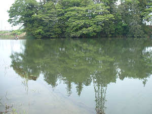 高須賀の池/バス釣りドットコム