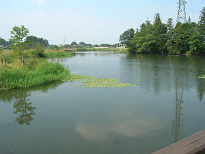 高須賀の池/バス釣りドットコム